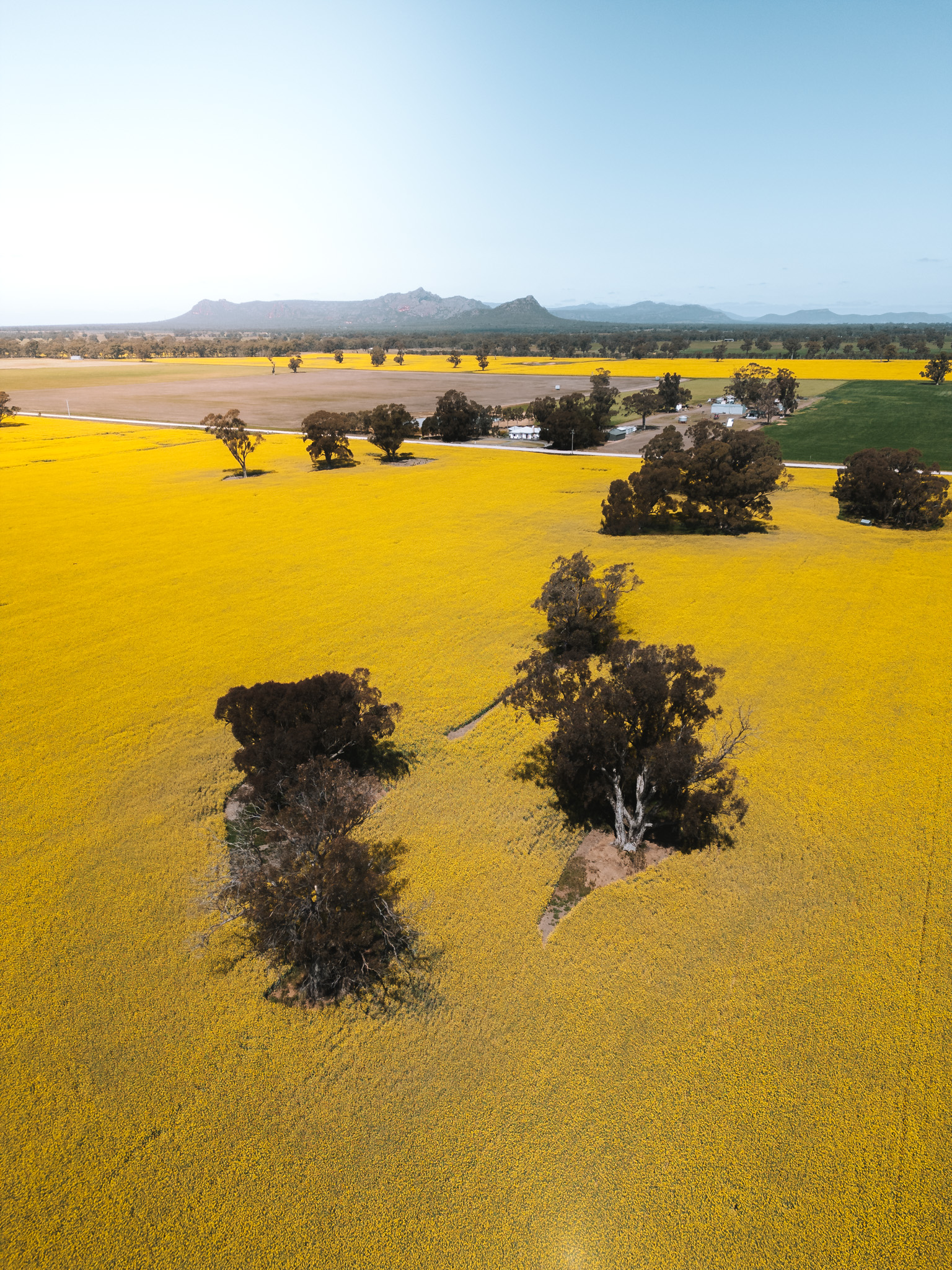 australie_bush_shots-0885
