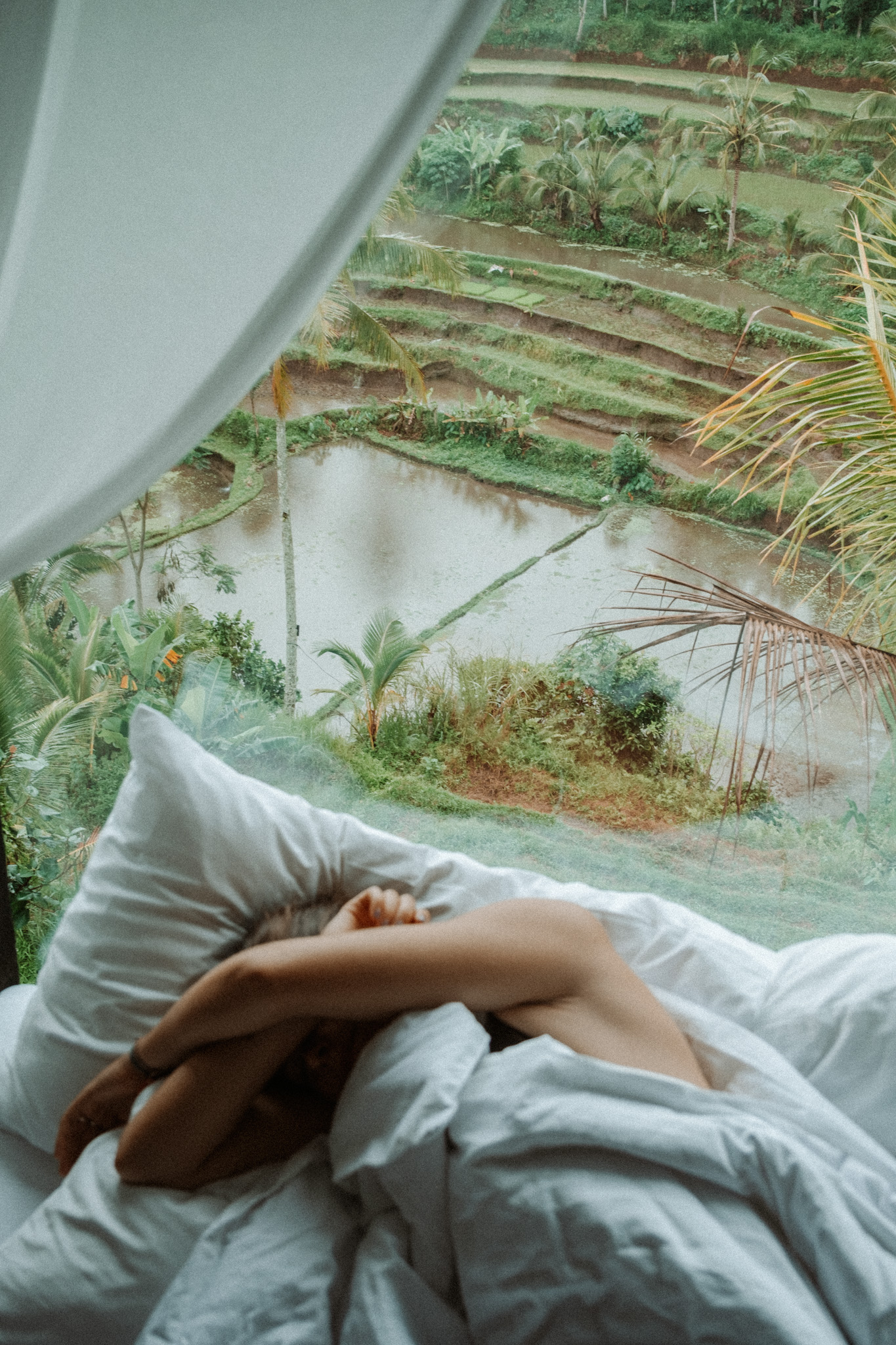 bambootel_bedroom-7225