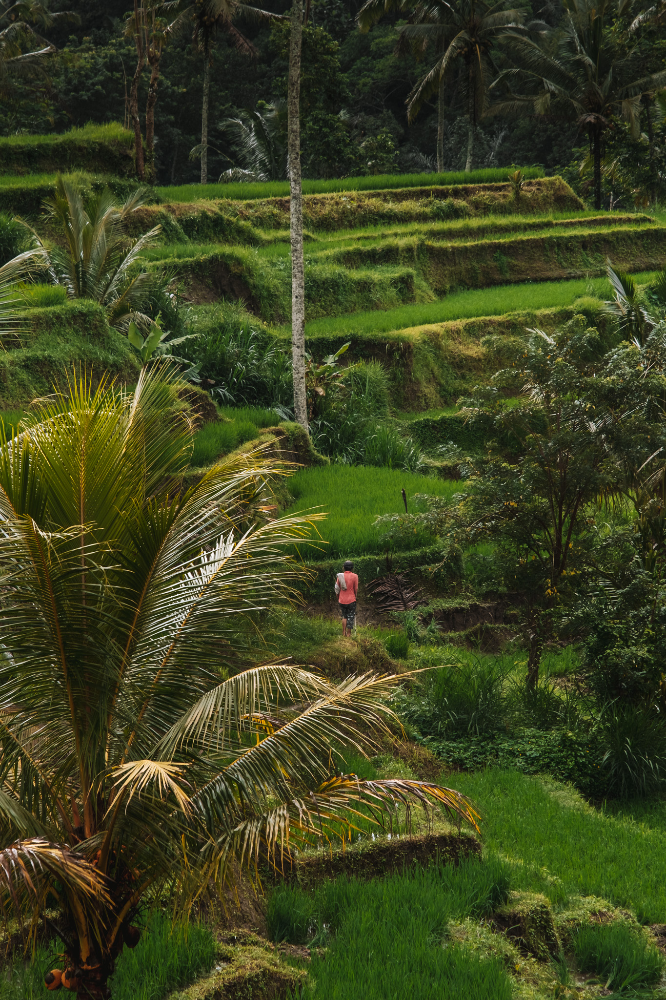 bambootel_village_tour-7467