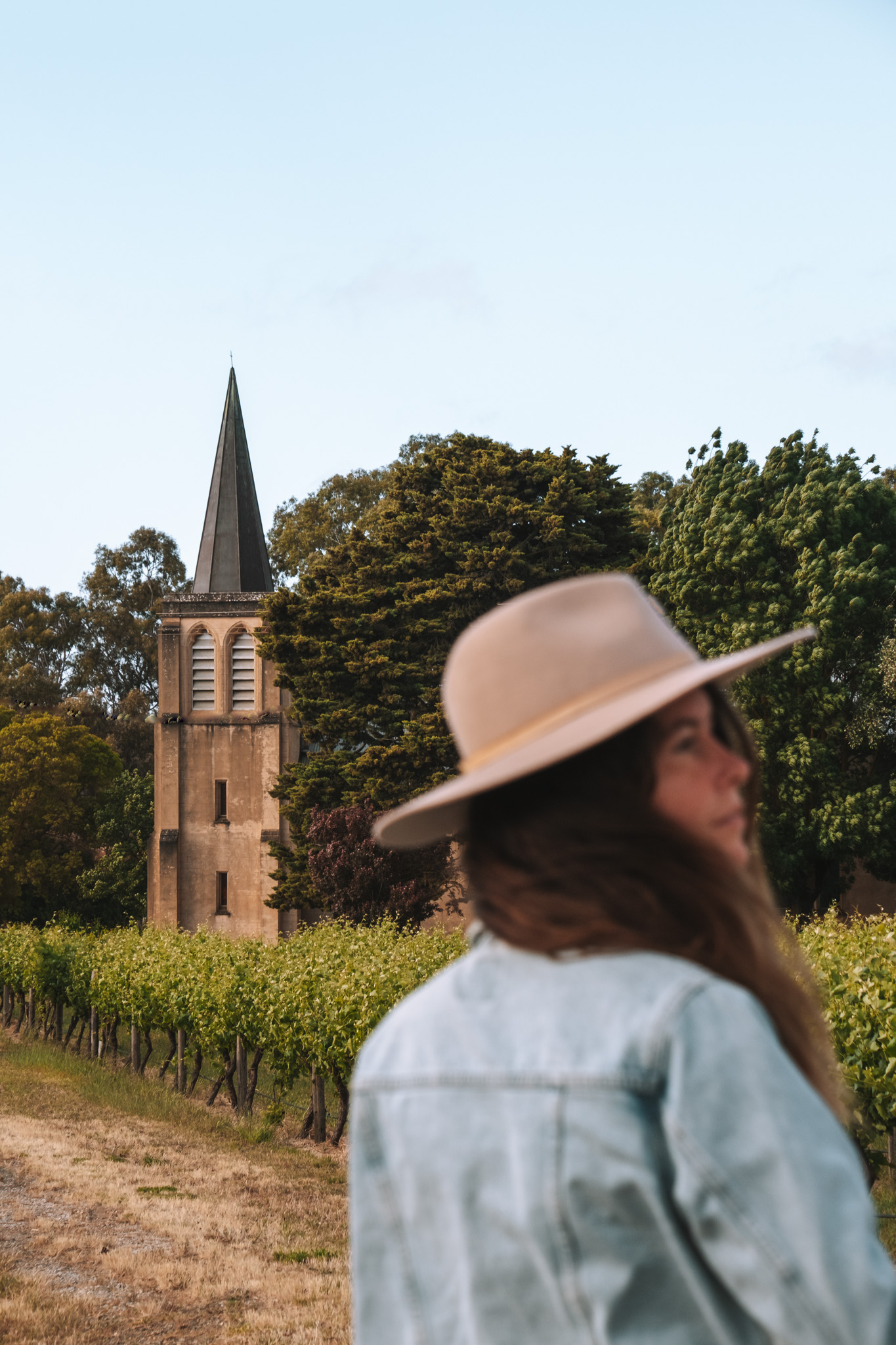 barossa_valley_rowland_valley-