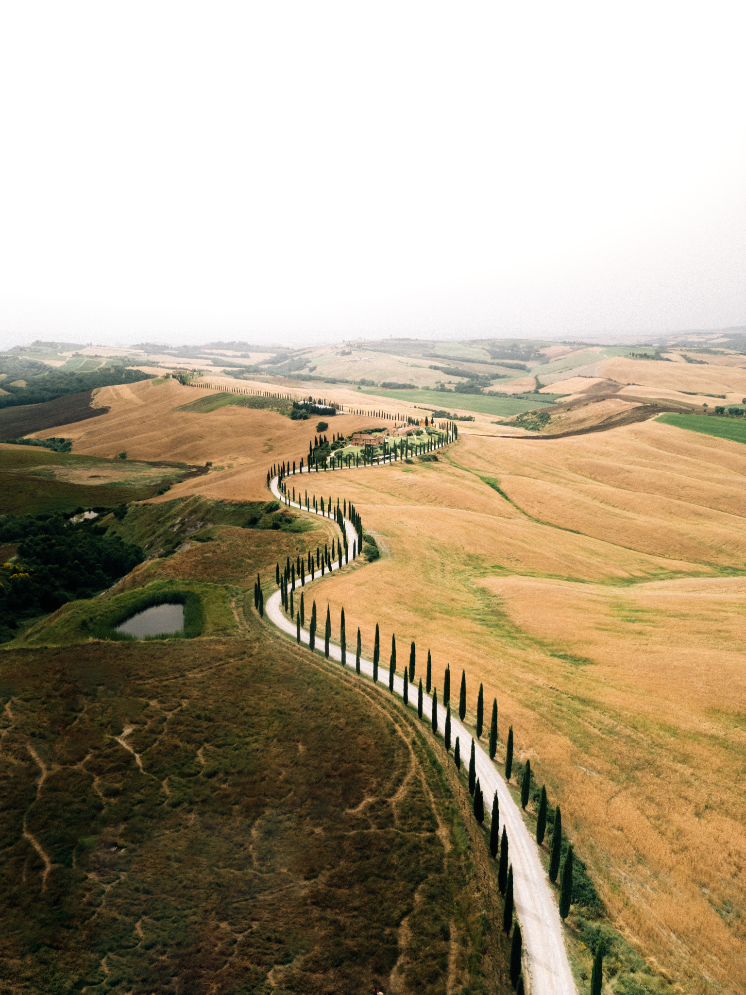 italie_cypres_crete_senesi_vista--2