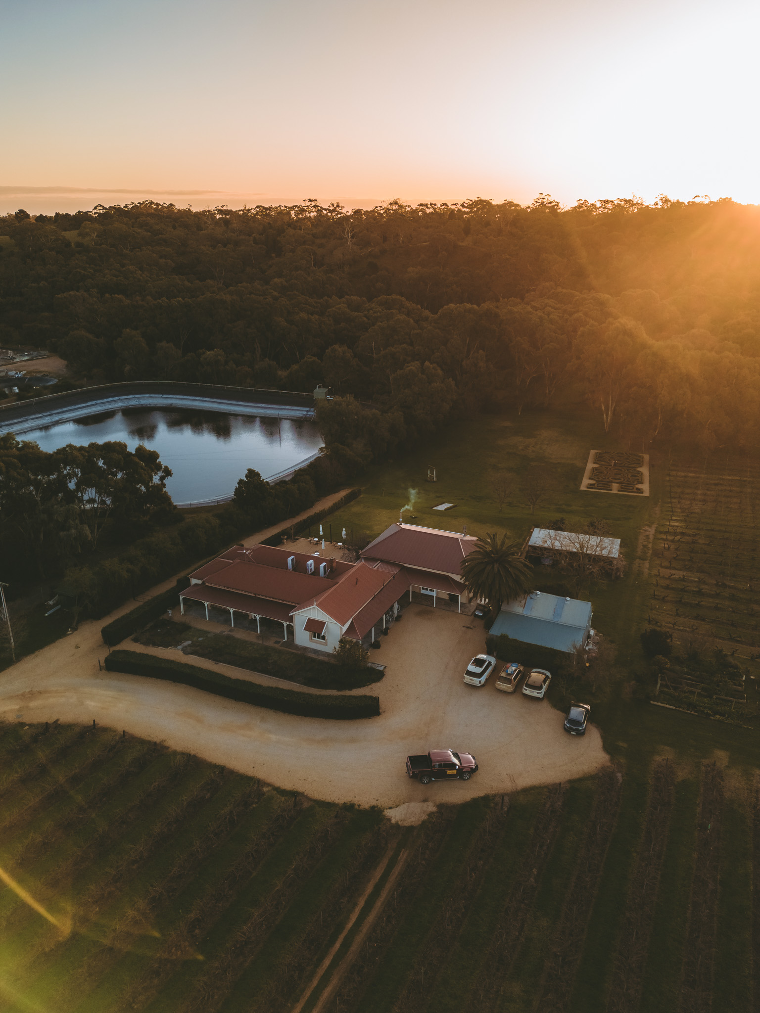 mas_barossa_drone-0010