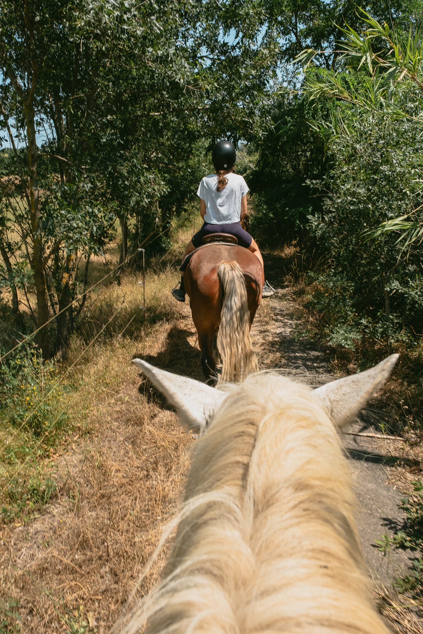 sortie_cheval_le_petit_ranch-0561