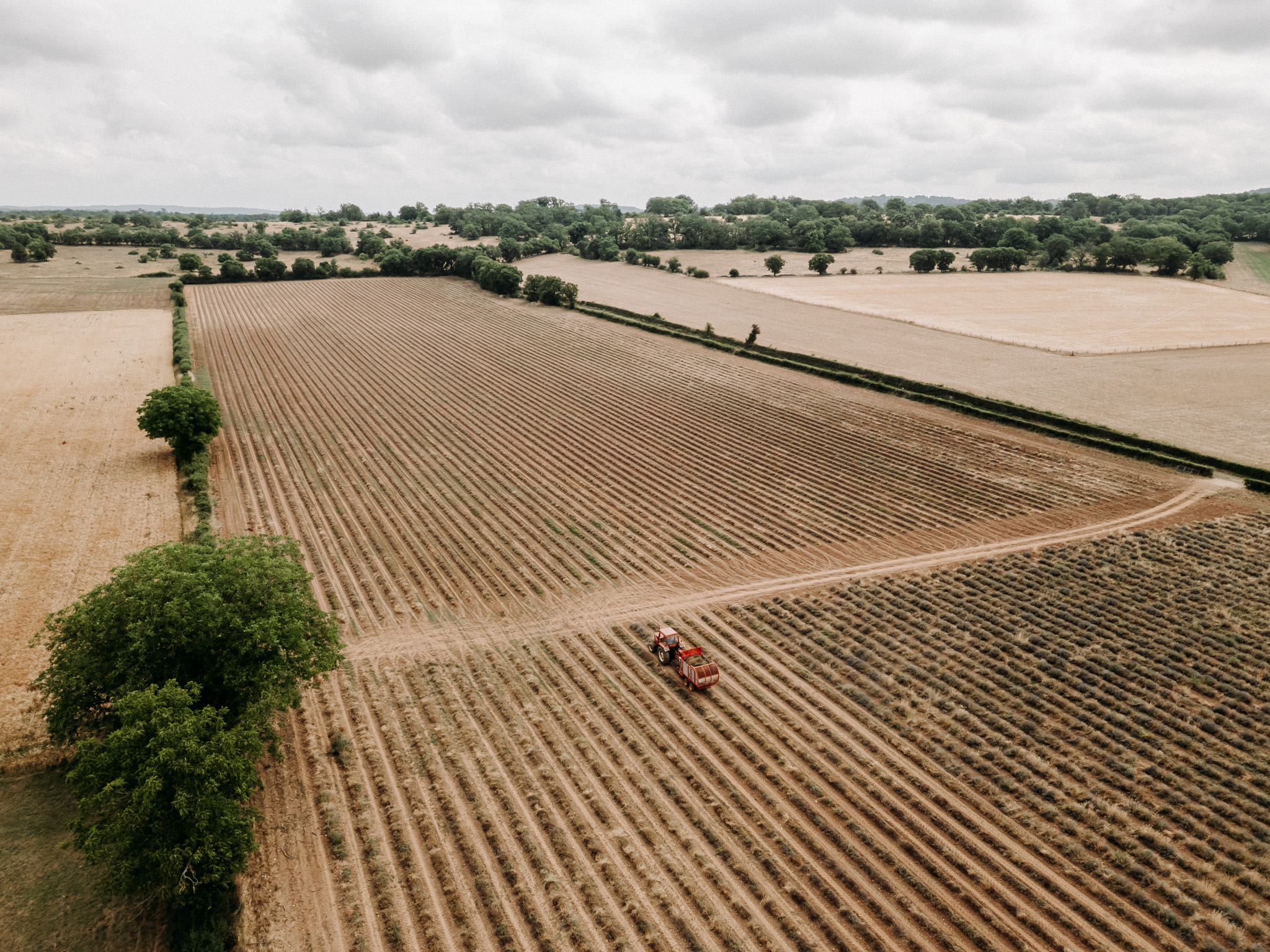 vallee_de_la_dordogne_ferme_des_alix-0318-2