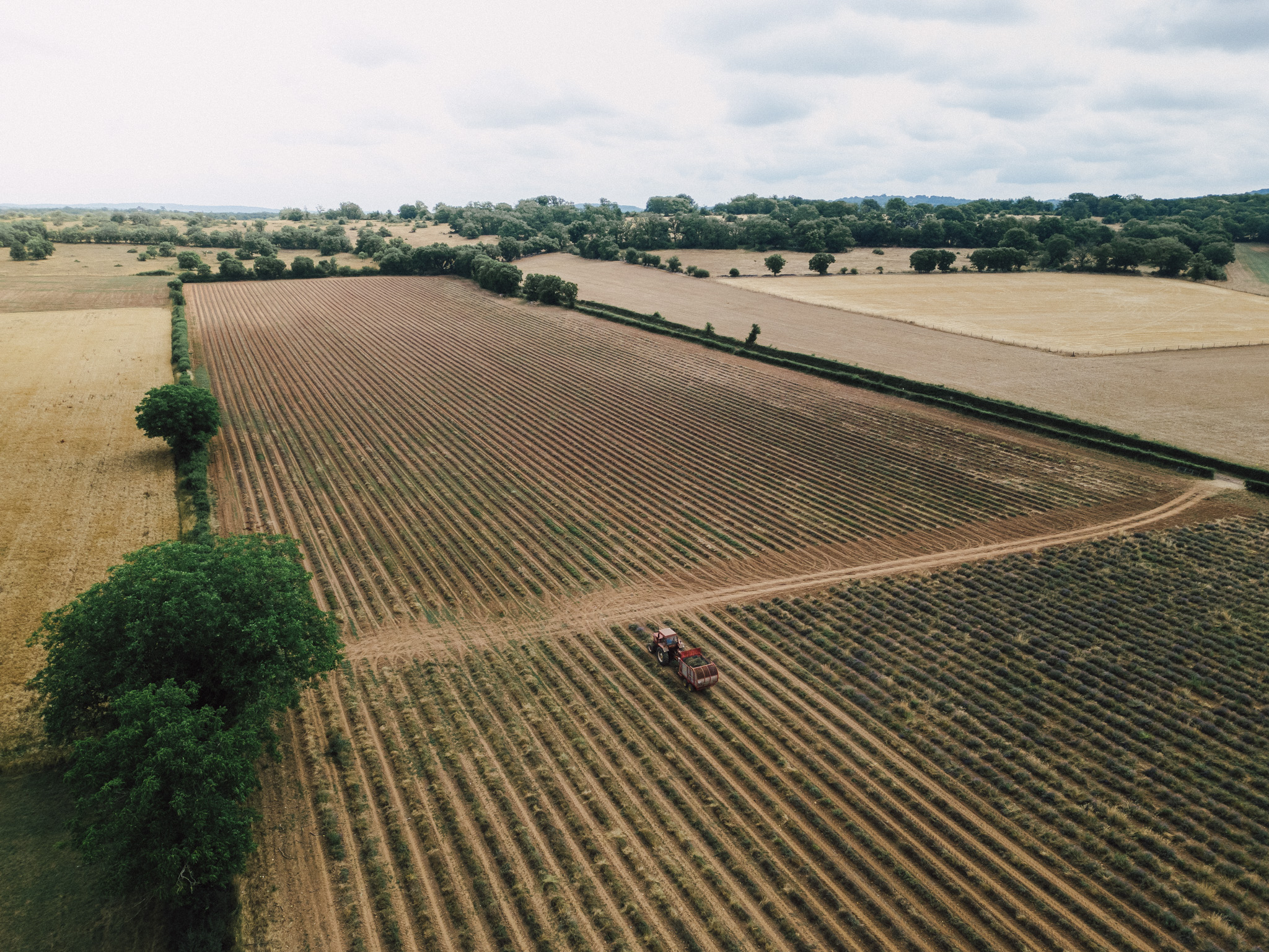 vallee_de_la_dordogne_ferme_des_alix-0318