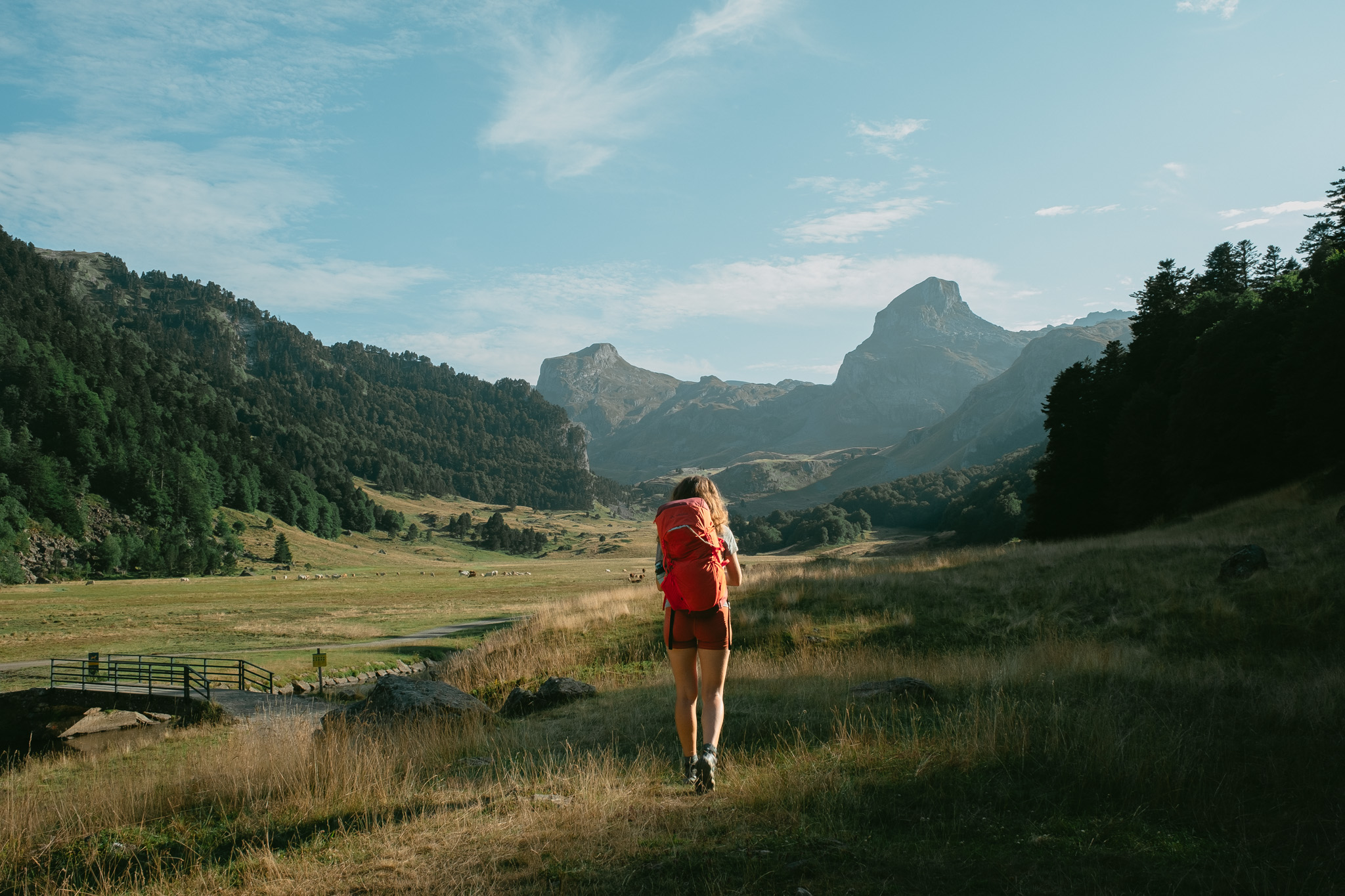 vallee_ossau_lacs_ayous-4442