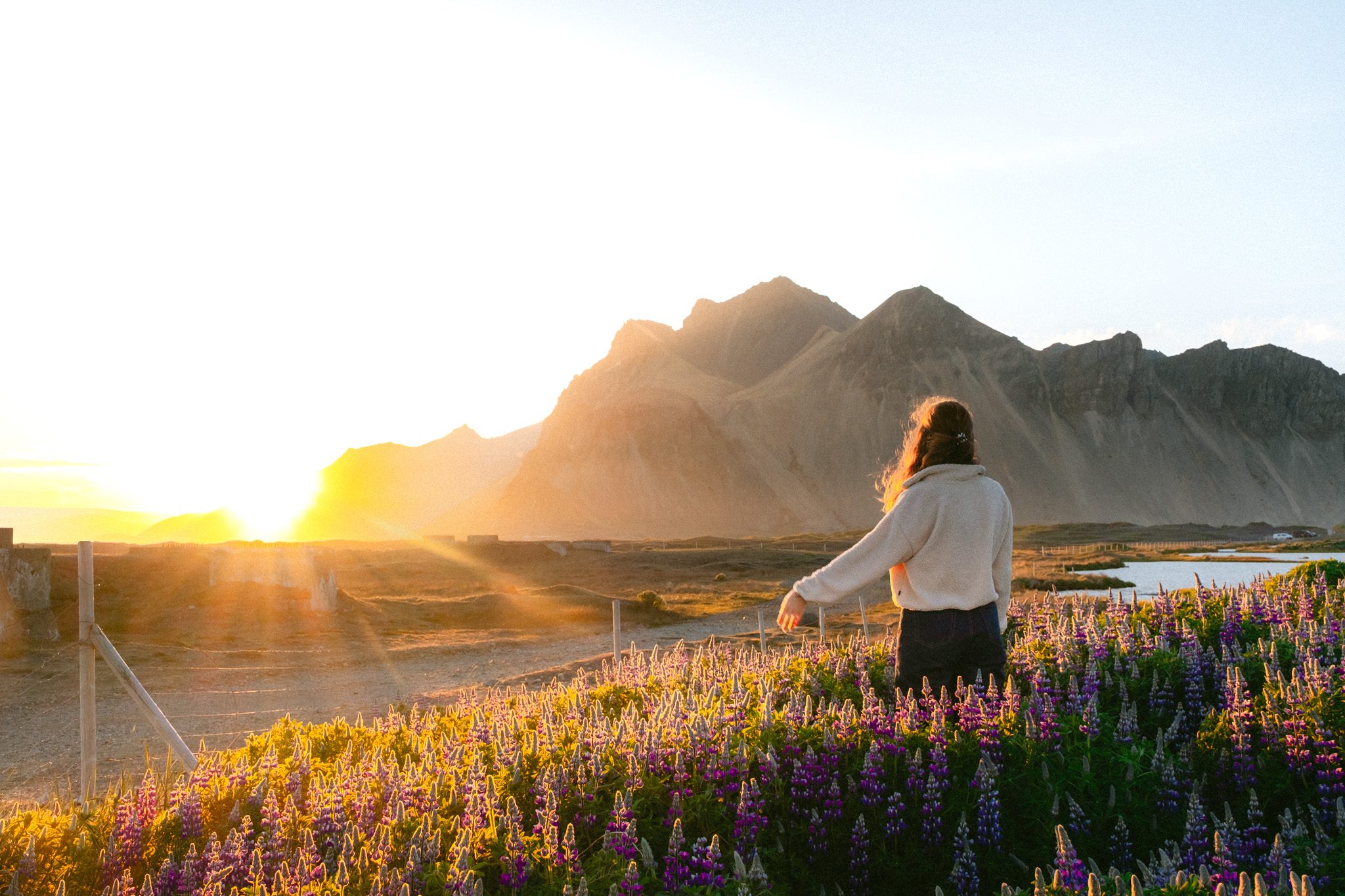 islande_stokksnes-0421