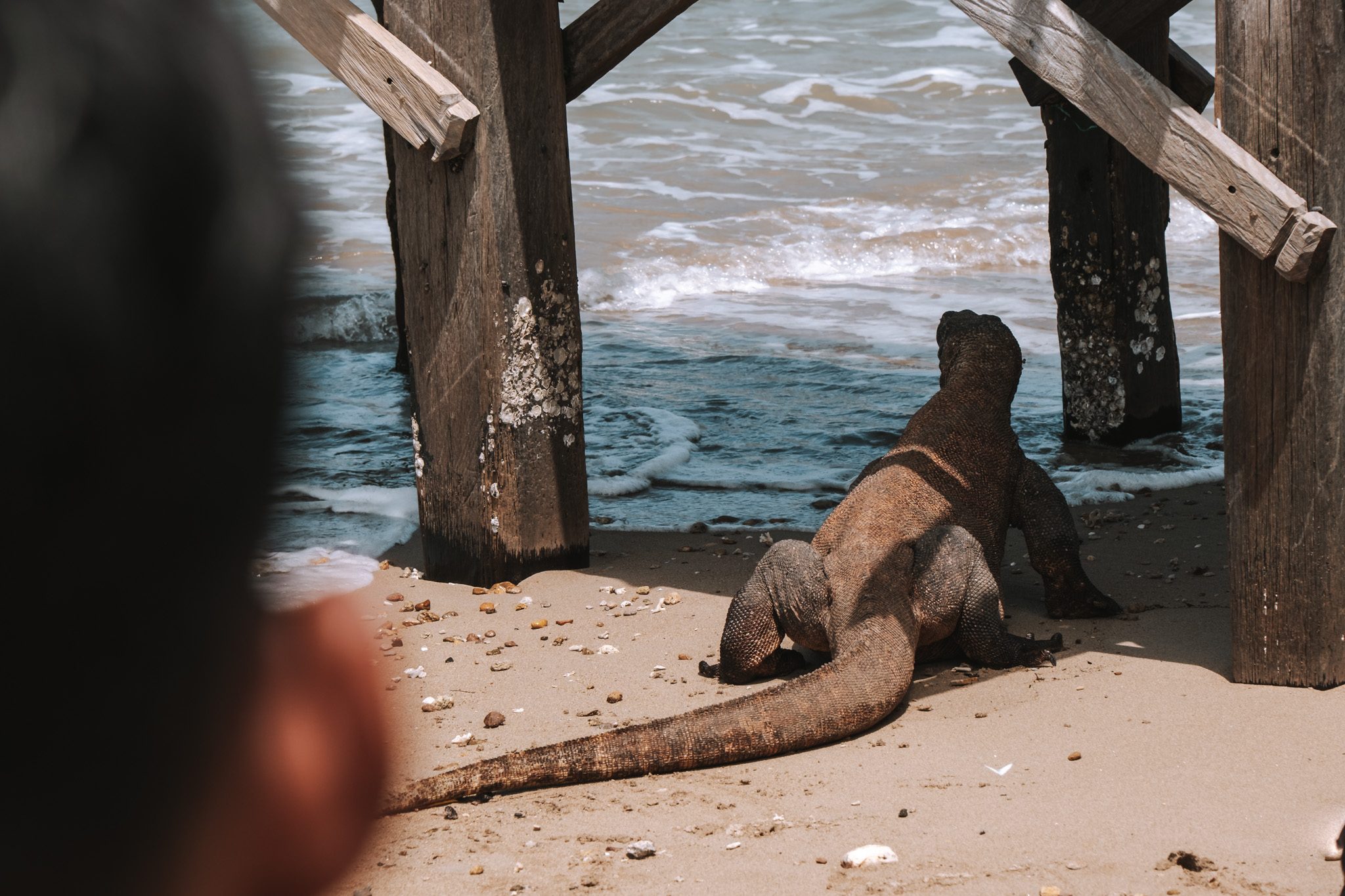 komodo_cruise_j2-0223