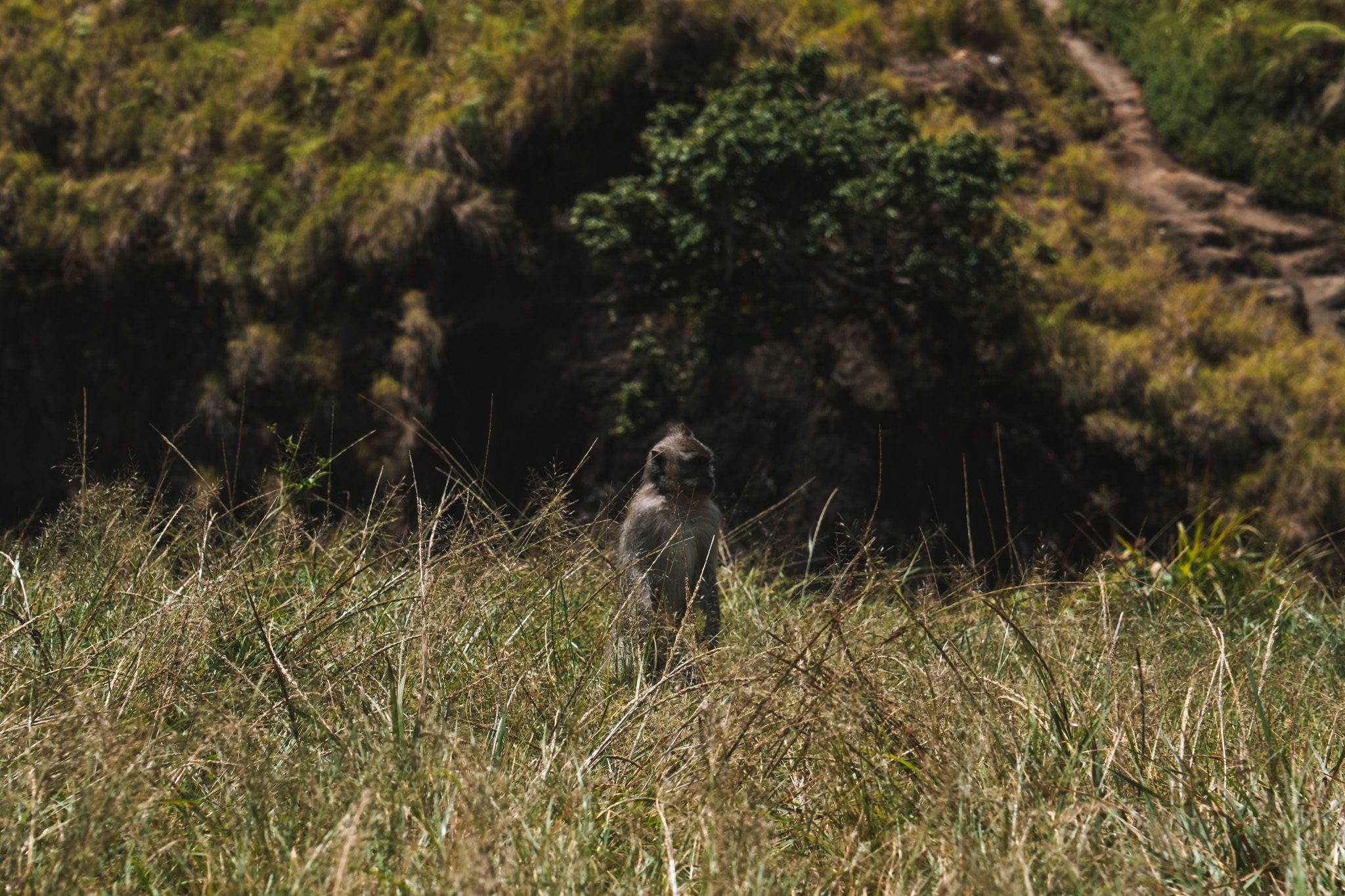 rinjani_trekking_d1-3879