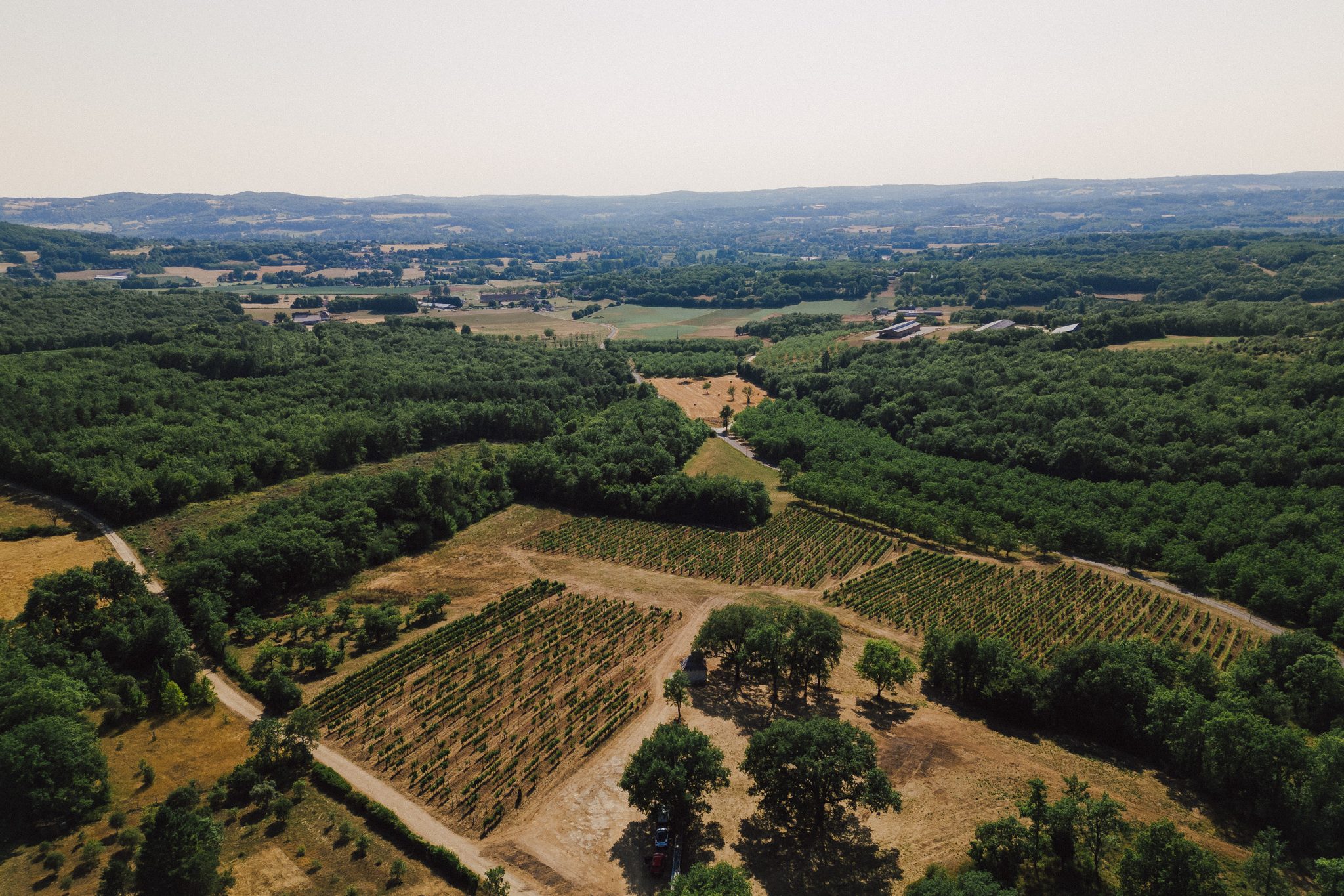 vallee_de_la_dordogne_cave_de_branceilles-0394